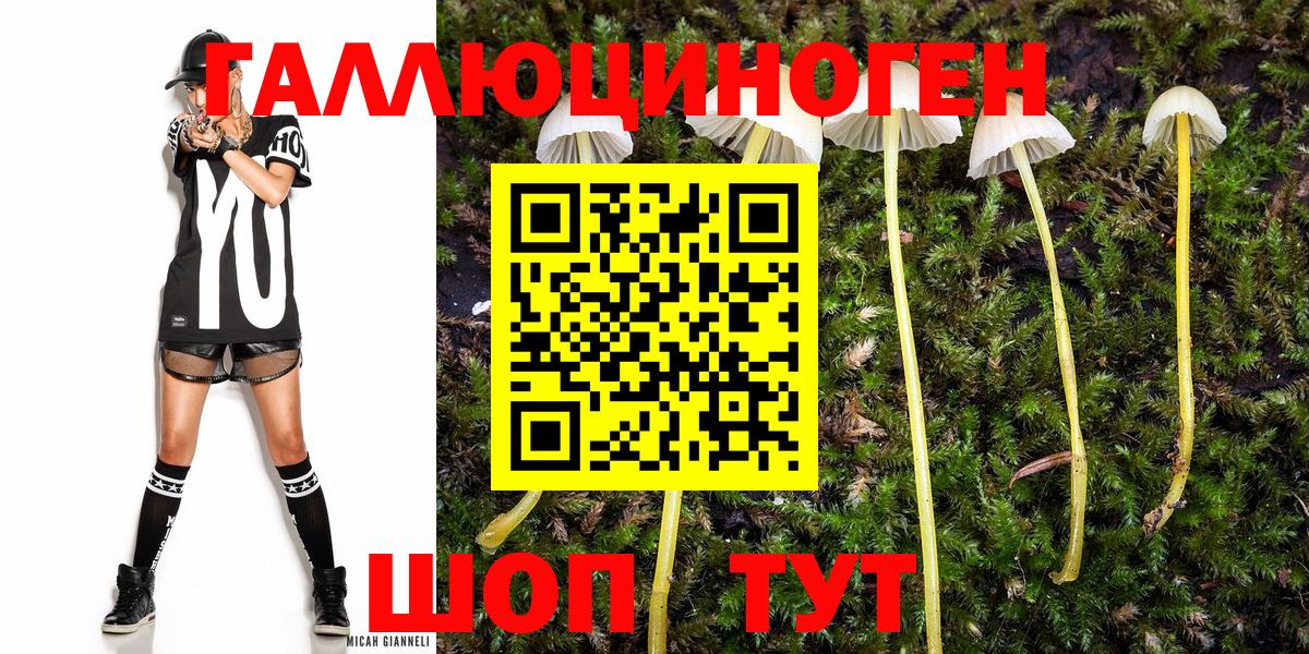Псилоцибиновые грибы GOLDEN TEACHER Куйбышев